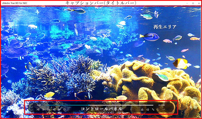 02_Main_NEC